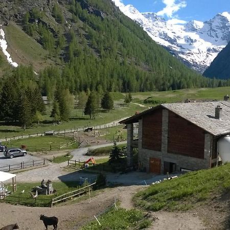 La Ferme Du Grand Paradis Cogne Zewnętrze zdjęcie