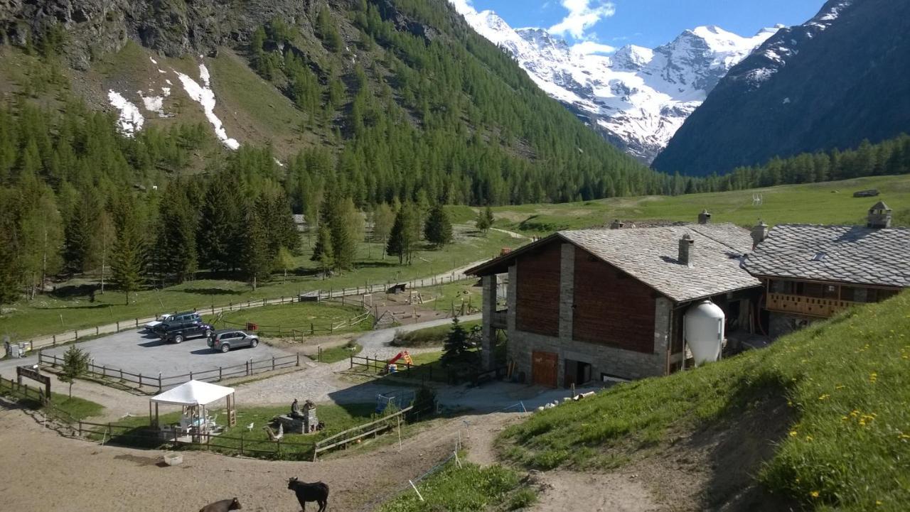 La Ferme Du Grand Paradis Cogne Zewnętrze zdjęcie