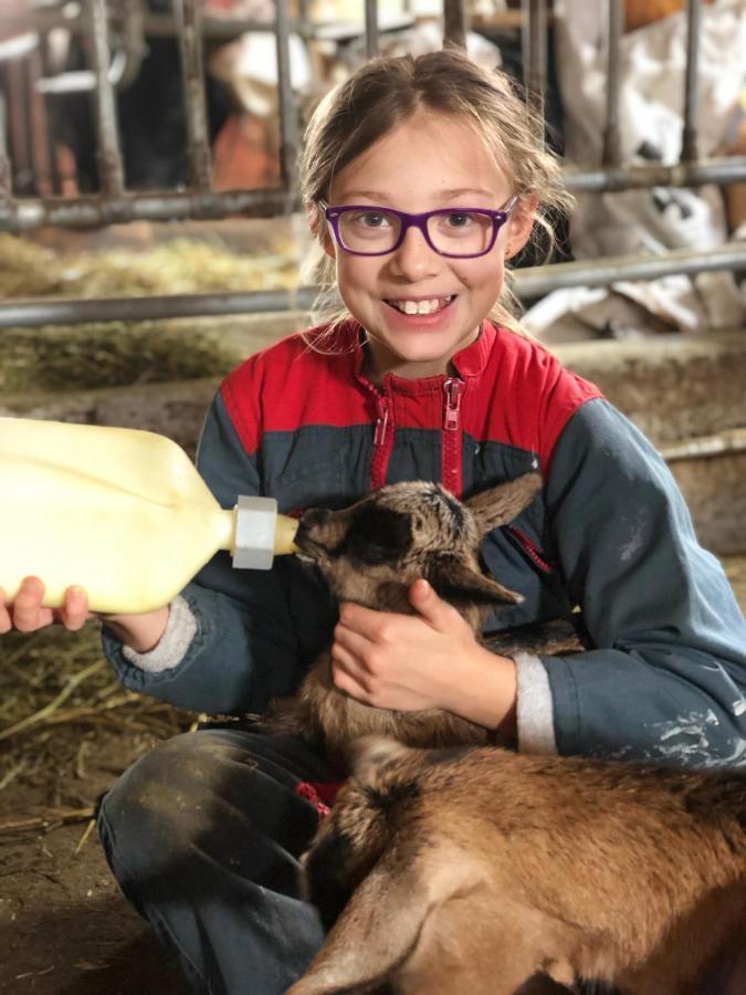 La Ferme Du Grand Paradis Cogne Zewnętrze zdjęcie