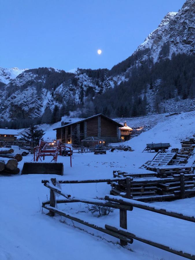 La Ferme Du Grand Paradis Cogne Zewnętrze zdjęcie