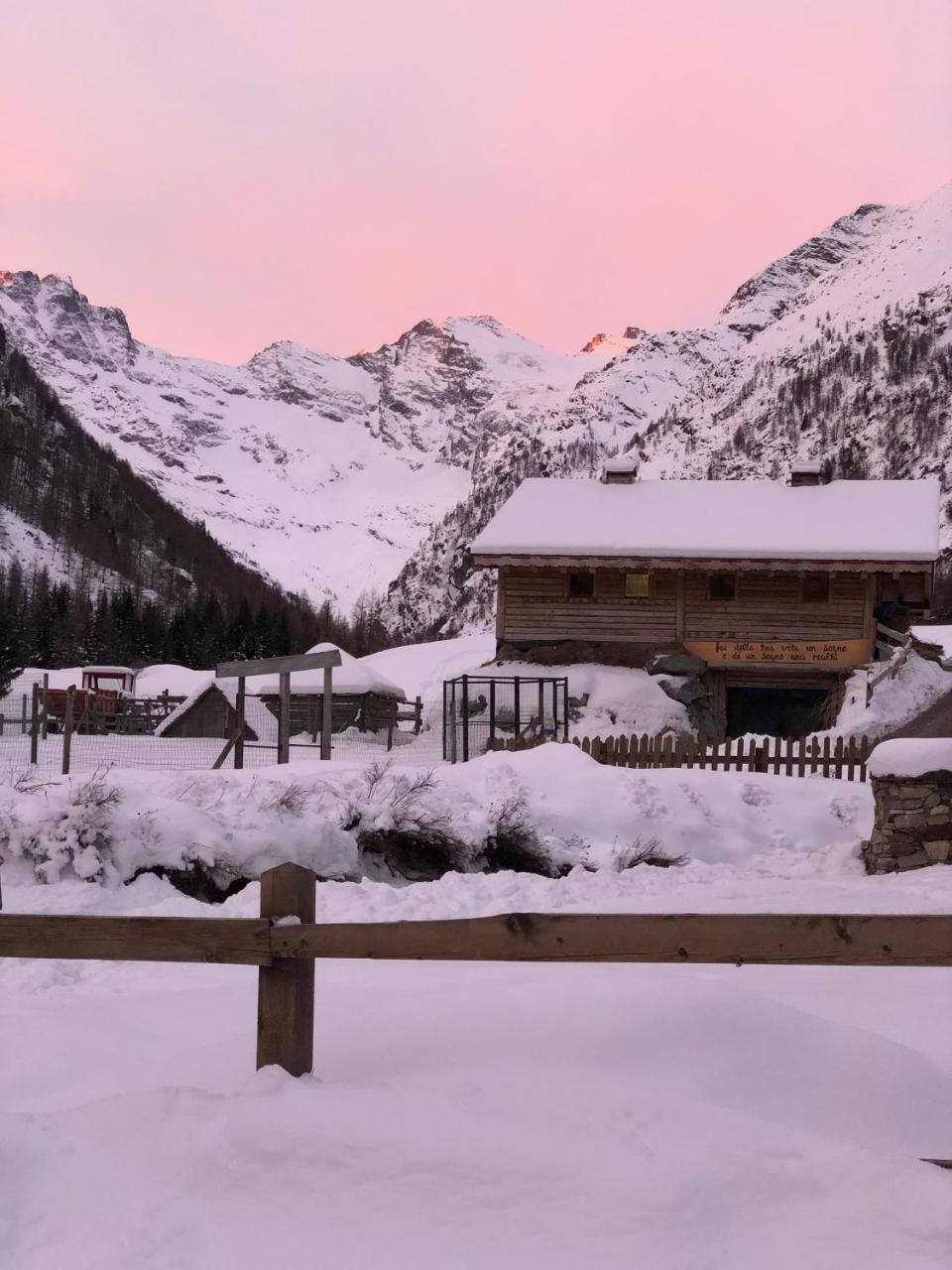 La Ferme Du Grand Paradis Cogne Zewnętrze zdjęcie